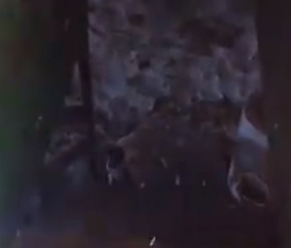 Kupio kuću, a kad je ušao u podrum zatekao je šokantan prizor (VIDEO)