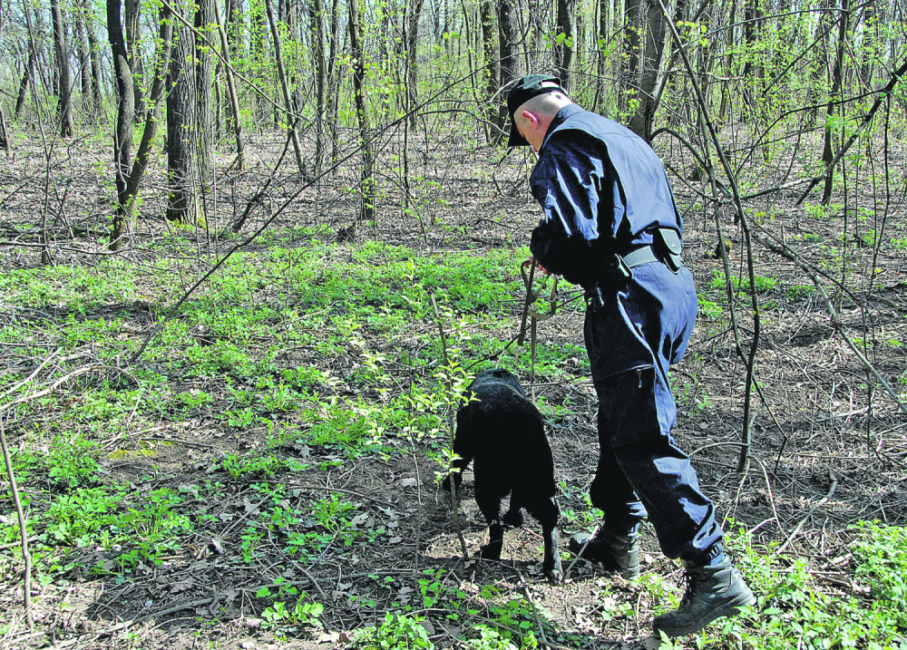 Skinuli ga golog zbog 100 evra!