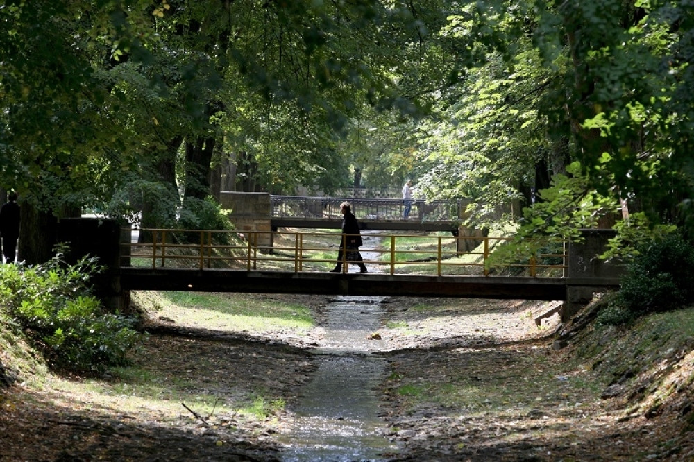 Života je sadio voće u bašti i pronašao nešto veoma čudno! Pozvao je stručnjake koji su mu otkrili šokantnu istinu