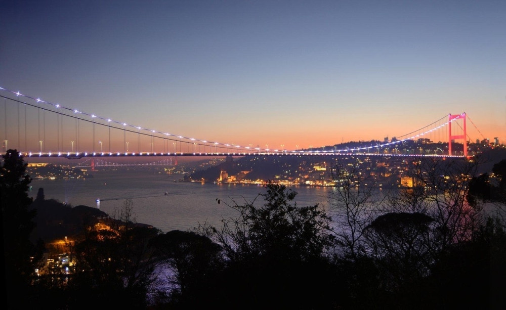 Ono za šljivu nije tačno, to su izmislili naši neprijatelji! Istina je da Srbe čeka teška sudbina, ali...