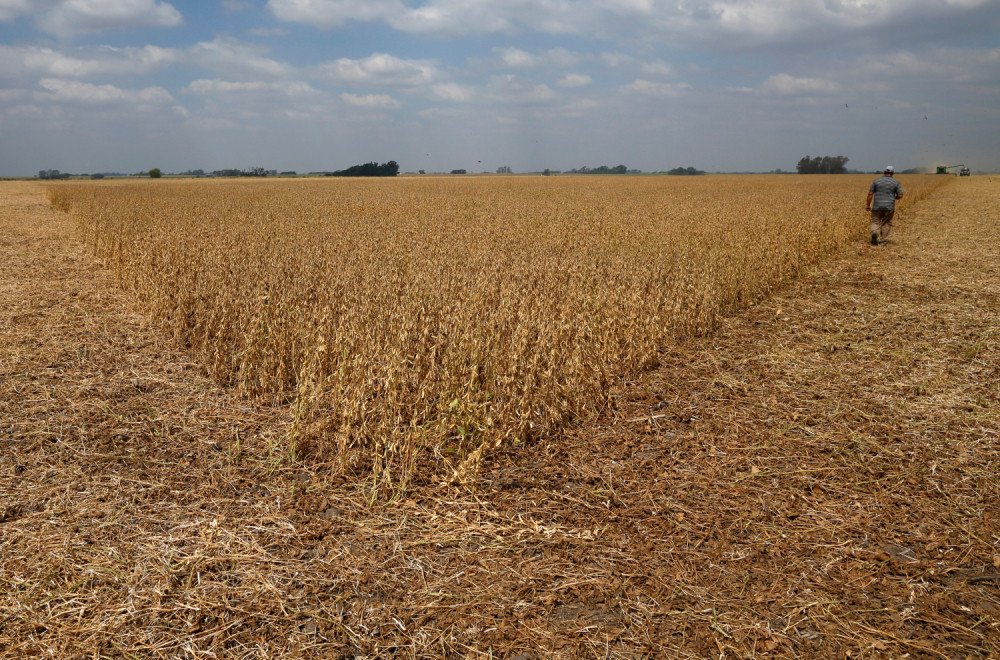 Stočar morao da potpiše ugovor sa Vodovodom  da će isporučiti 130 kg živog prasećeg mesa za Bogojavljenje!