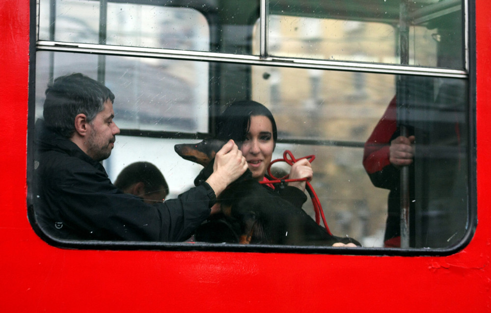 U Srbiji od jeseni GRATIS prevoz?