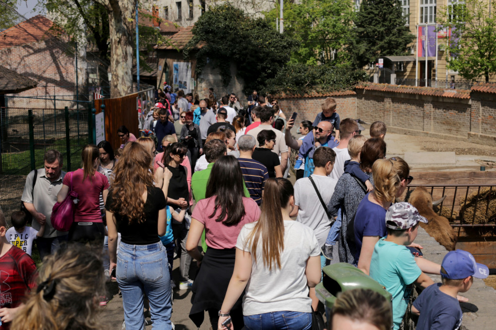 Beogradski zoo vrt krio jezivu tajnu: Radnicima za vreme NATO agresije dato naređenje zbog kojeg ćete se slediti!