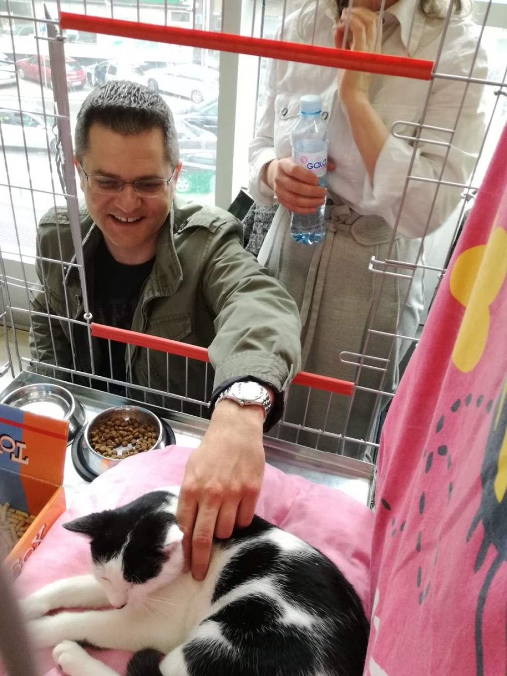 Jeremić odlepio za mačkama!