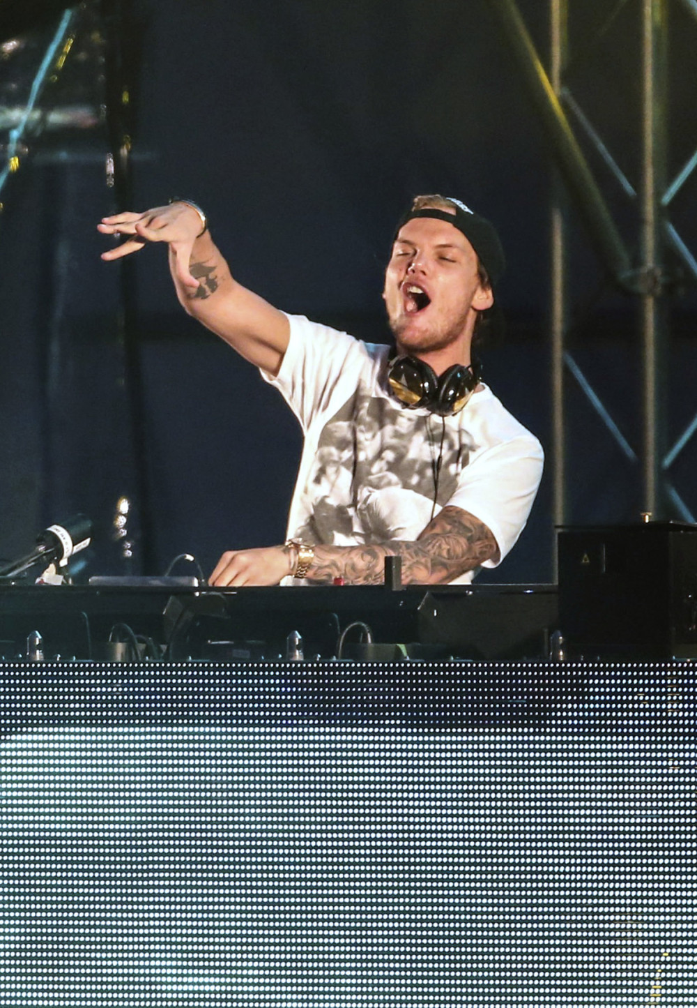 Evo šta je obdukcija otkrila o smrti Avićija