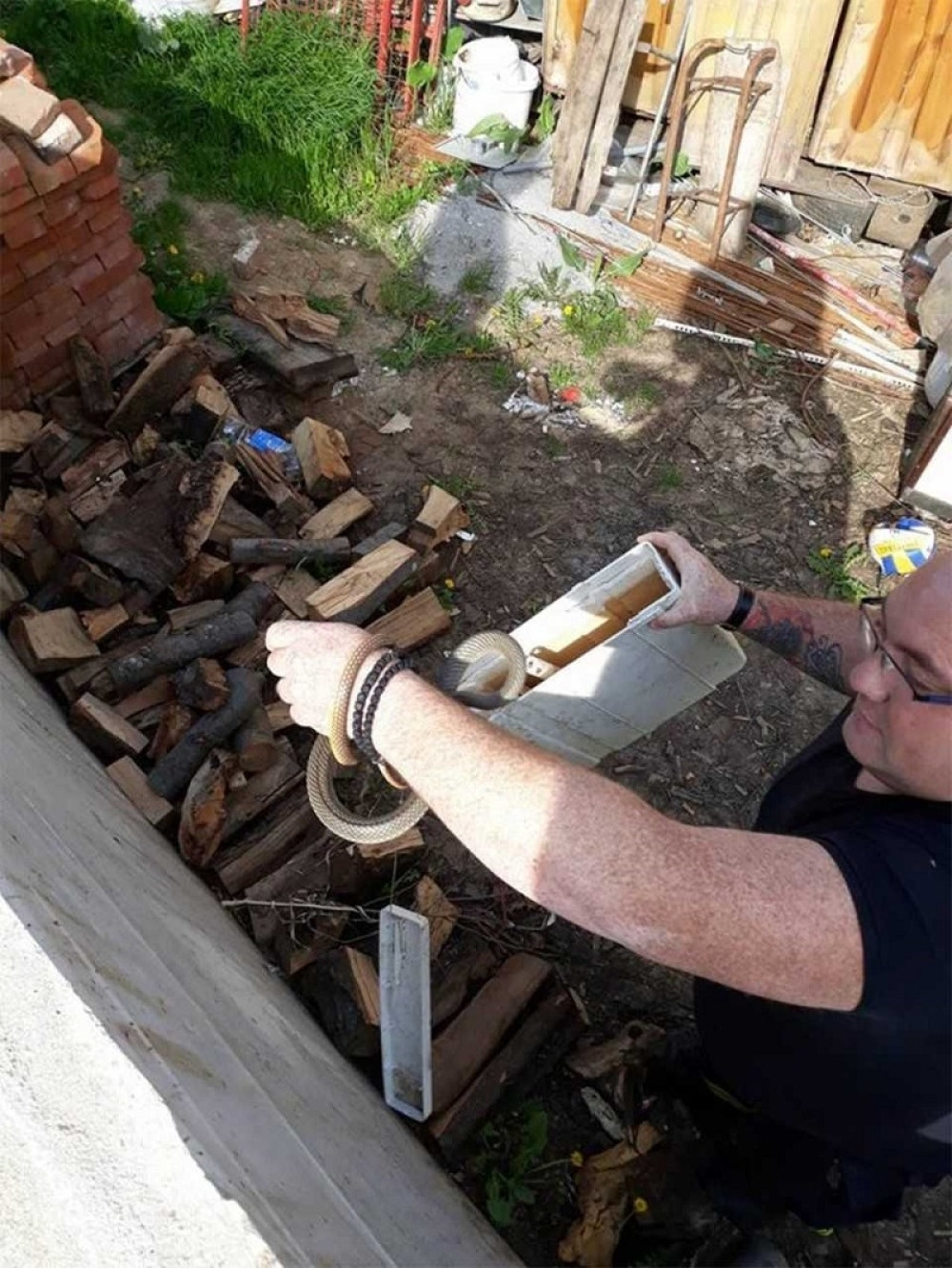  Iz vodokotlića izvukli zmiju!