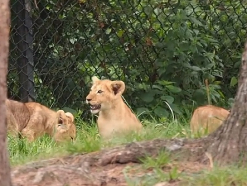 Na svet došli Izabela i Viktor, imena dobili po doktorki i njenom vereniku