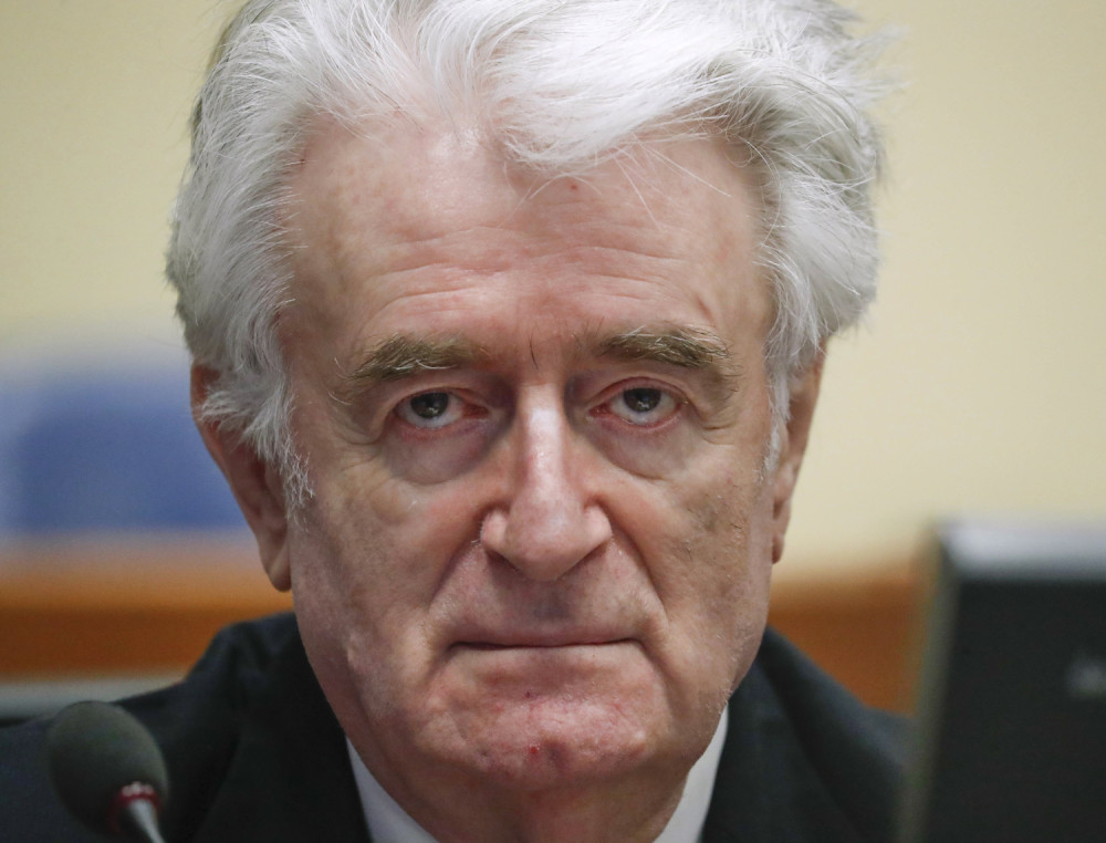 Pogledajte Karadžićevu reakciju na doživotnu robiju!