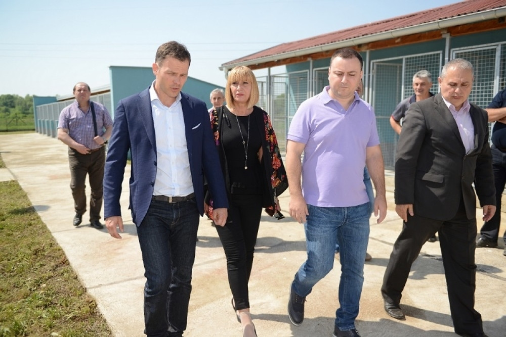 Mali: Rešićemo problem pasa lutalica