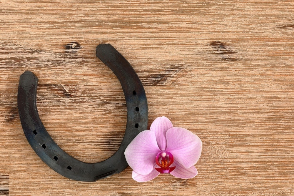 Evo koji predmeti donosi sreću! Jedan je naš jeziv!