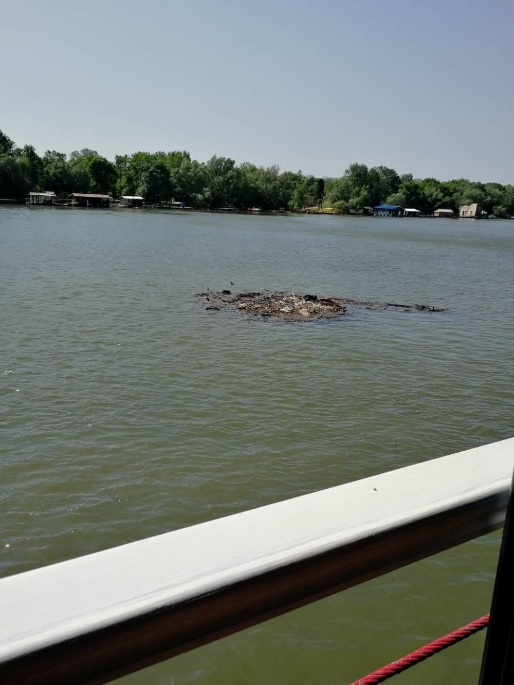 Beogradsko priobalje se ne vidi od smeća!