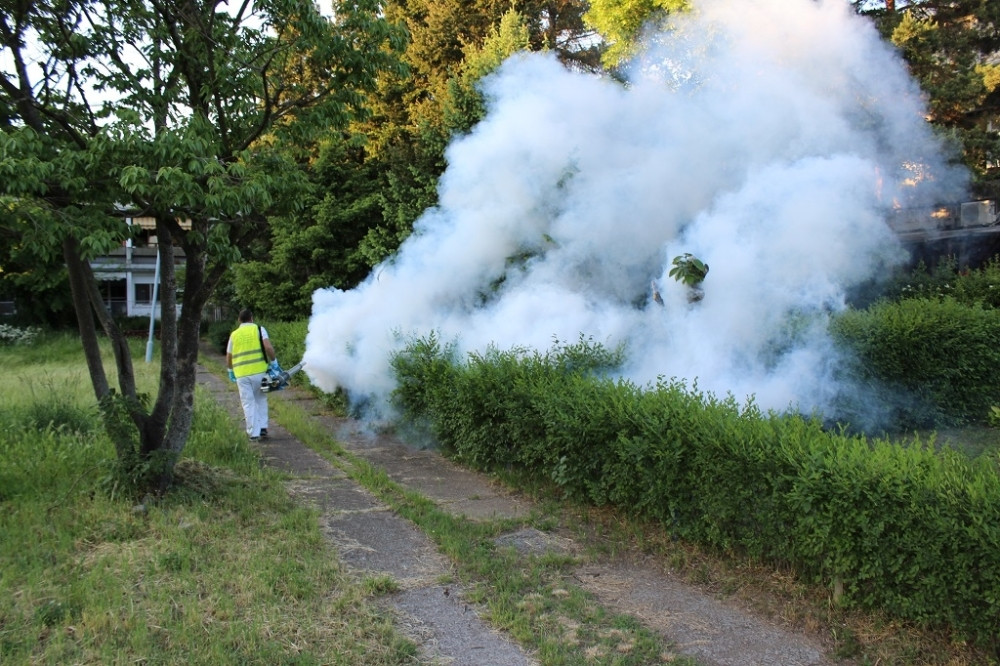 Pojavio se NOVI VIRUS koji prenose komarci! Tegobe su jako specifične, EPIDEMIOLOZI izdali upozorenje!
