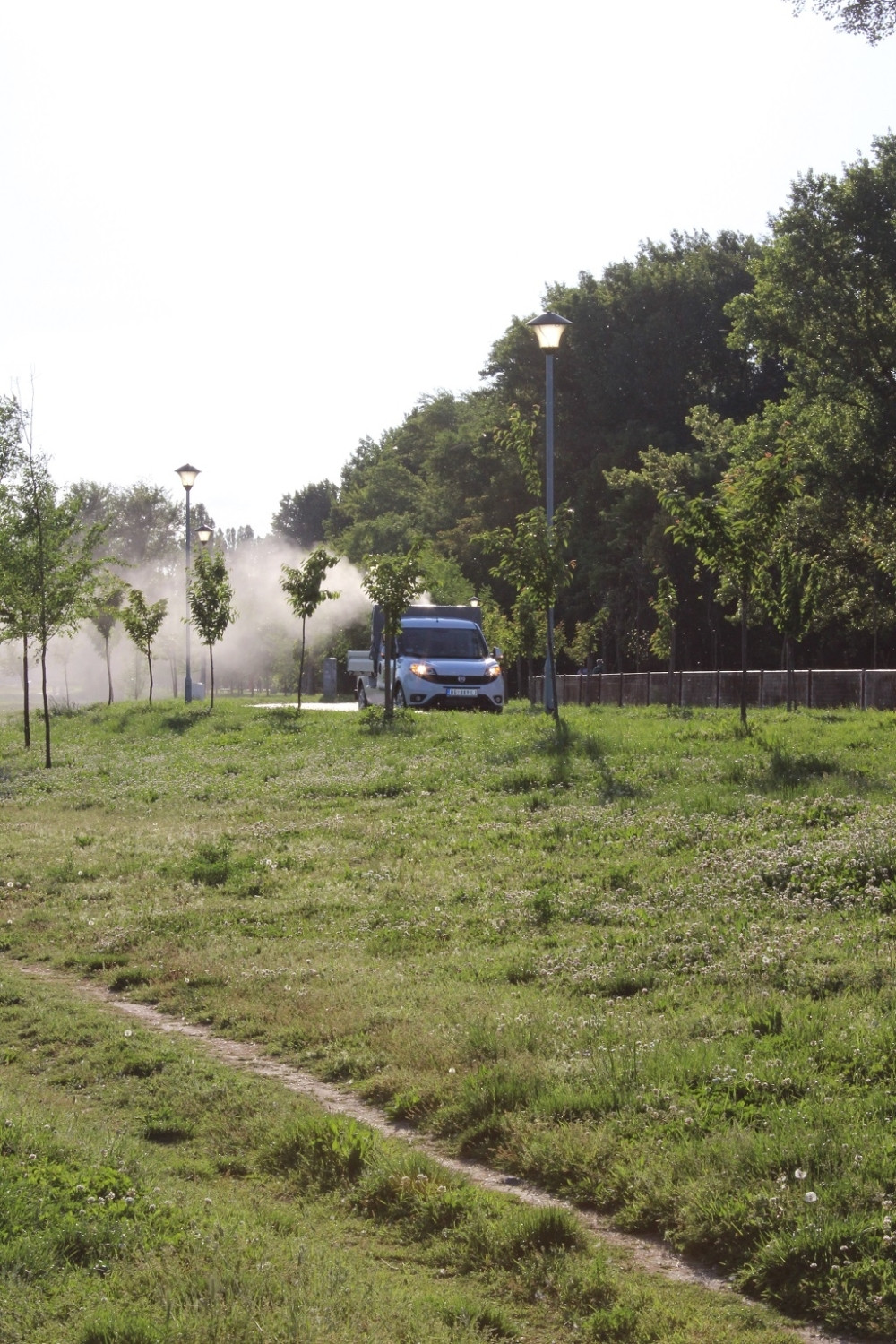 Nestašica sprejeva u Beogradu: Komarci kao da su postali imuni na zaprašivanje! Ujedaju kao nikada do sada!