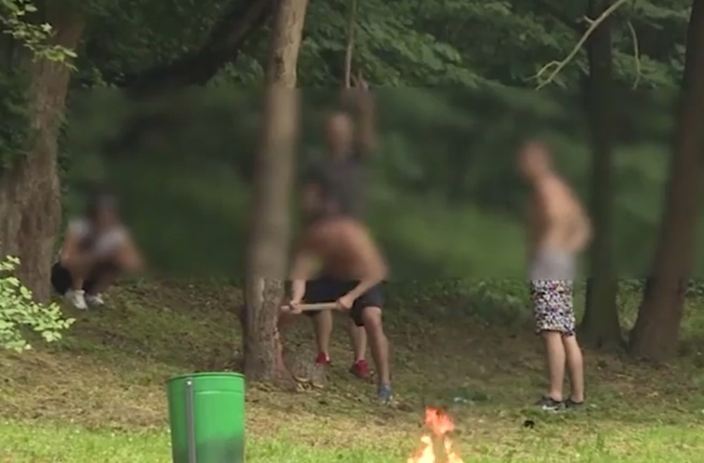 Policija otkrila "prvomajske drvoseče" iz Košutnjaka!