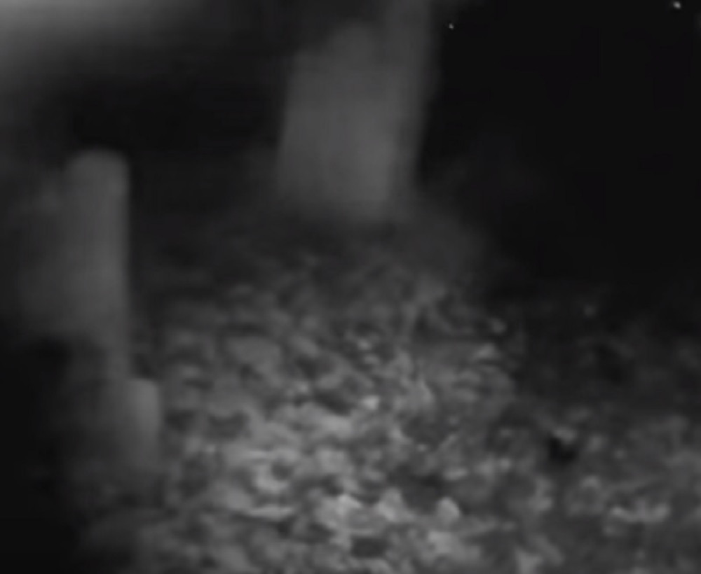 Otišao na groblje da traži duhove, a onda je snimio ovo
