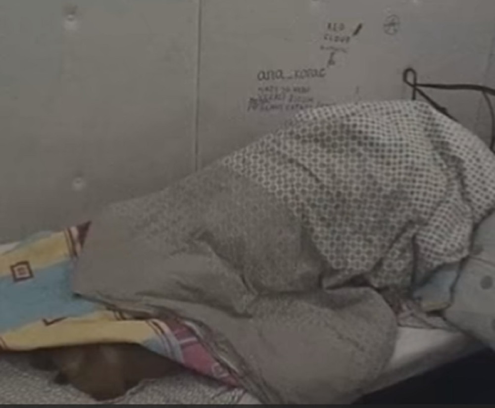 RIJALITI SEKS ZA ANALE: Treslo se pod jorgan planinom, lomili se kreveti, uzdasi odjekivali kućom!