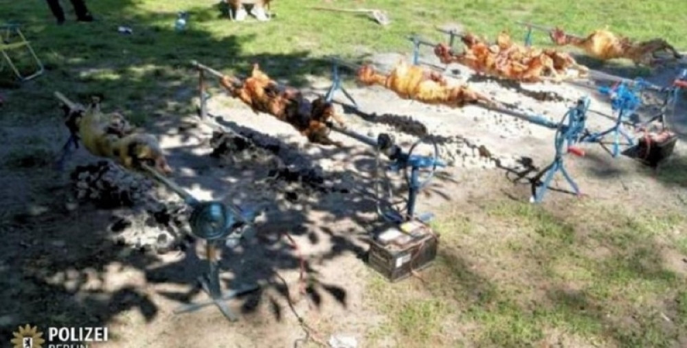 Bosanci obrnuli jagnje na ražnju usred Berlina!