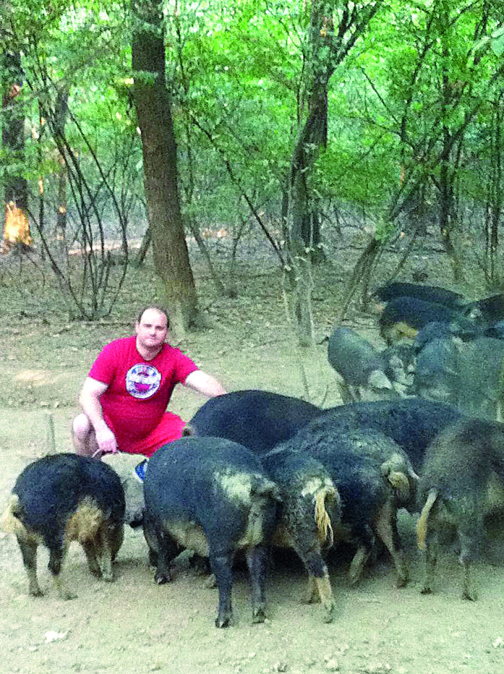 Surčinac pao sa falš pasošem