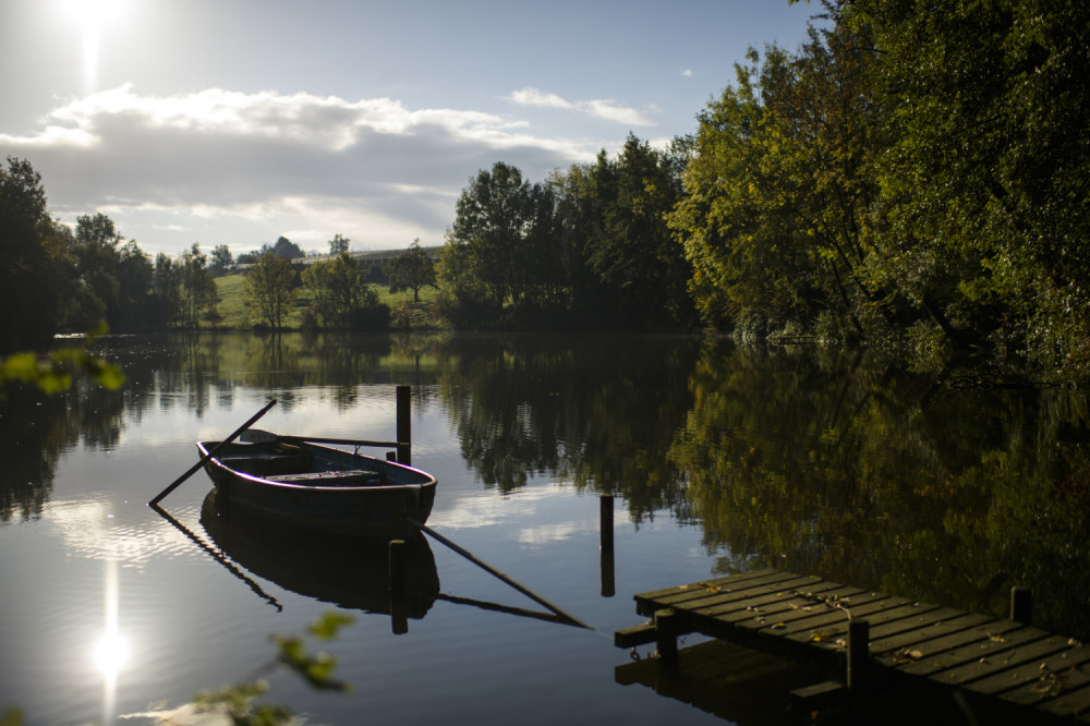 Na Trofeju Beograda 245 veslačkih posada