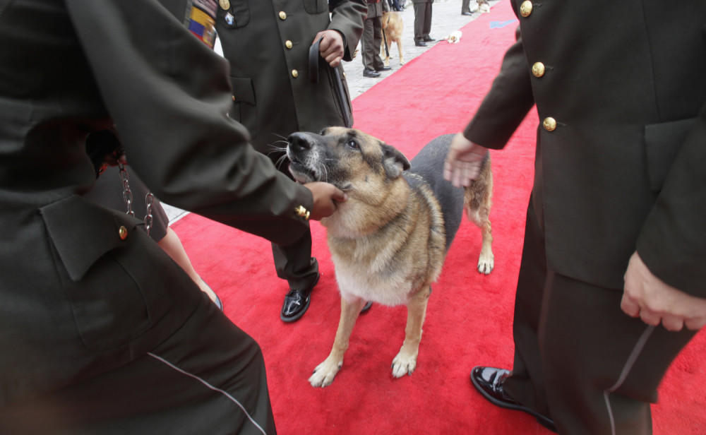 Svečani ispraćaj policijskih pasa u penziju