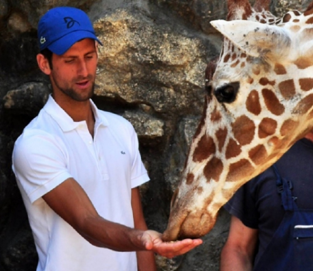 Nole hranio žirafu usred glavnog grada (FOTO)