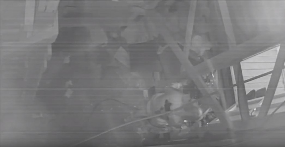 Matora i Sanja se seksale?