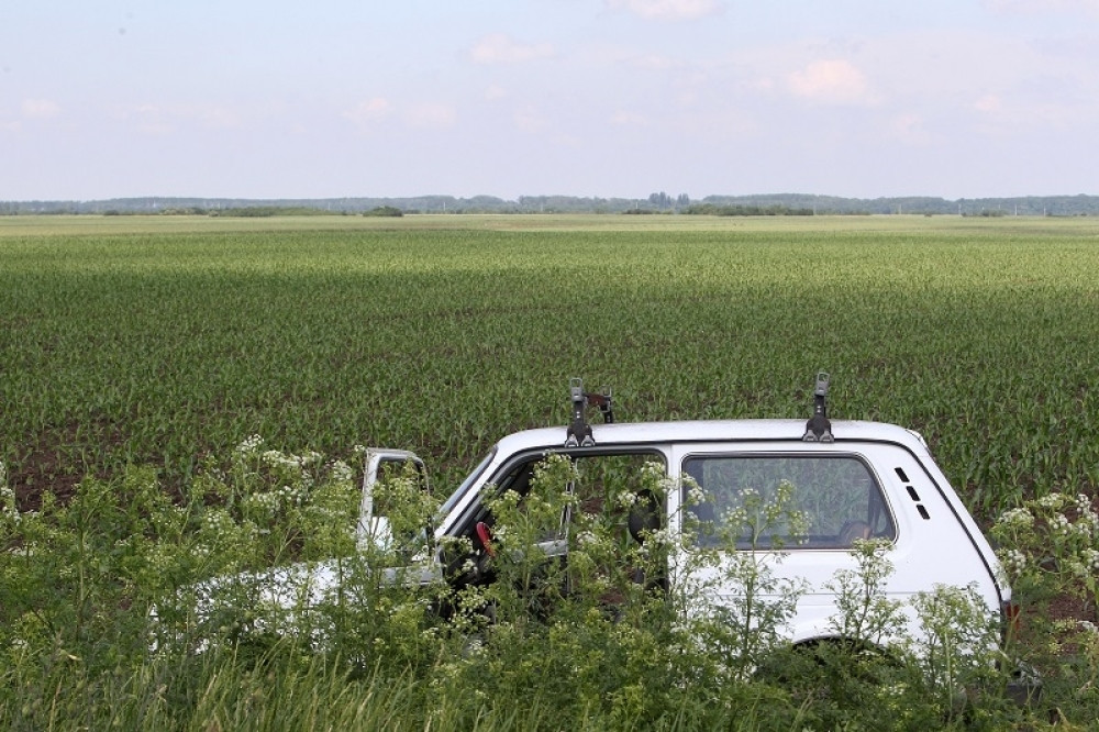 "Pašće će mrtva glava, zolje su spremne!"