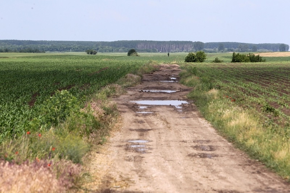 Obilazio sa ženom njivu, kada se ona okrenula, njega više nije bilo