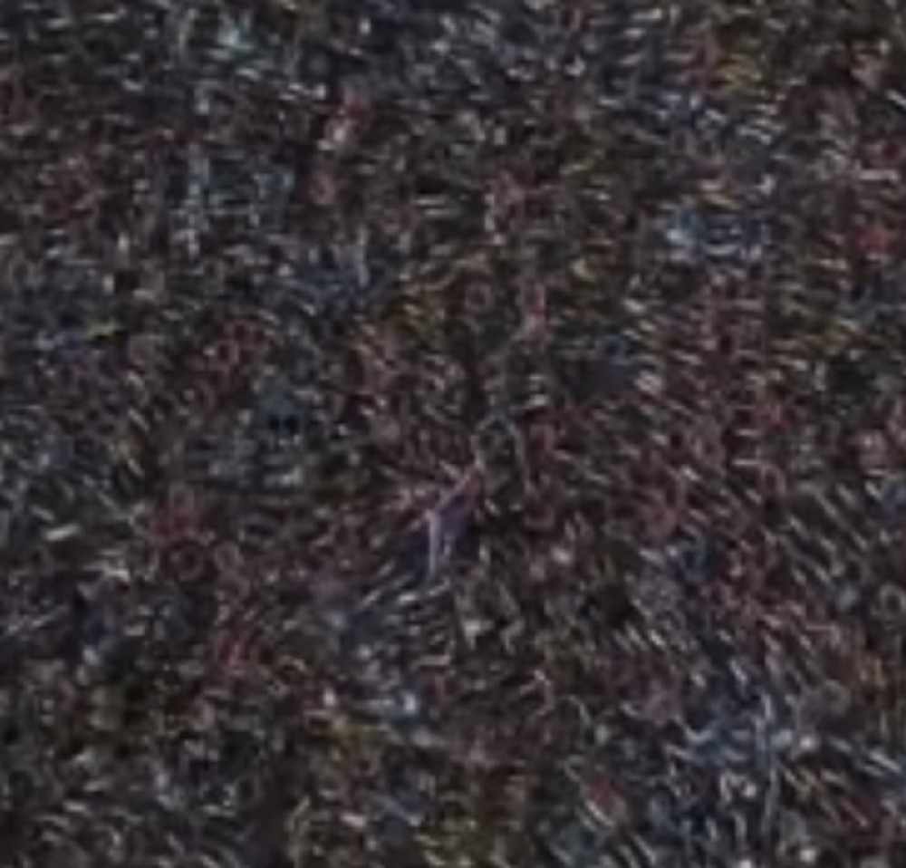 Snimak iz vazduha koji pokazuje ogroman problem Kine (VIDEO)