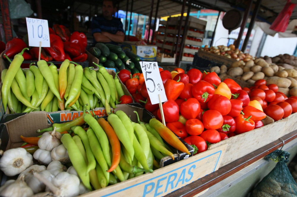 Ukoliko gajite ovo povrće u Srbiji možete zaraditi i do MILION dinara po hektaru!