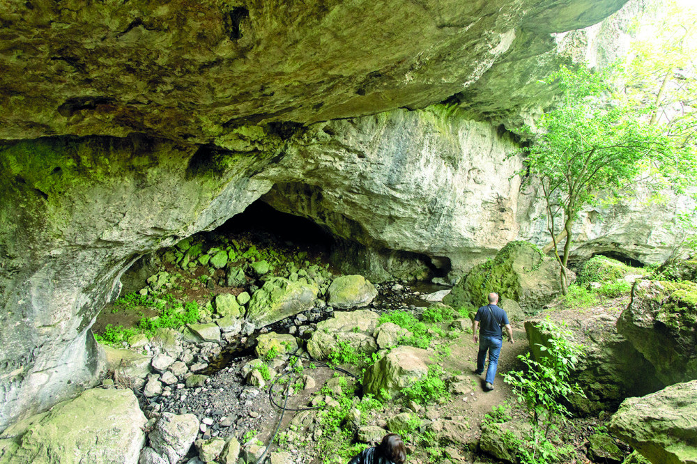 Devojke, uz pomoć slepog miša, muž će vam biti veran, evo i kako!