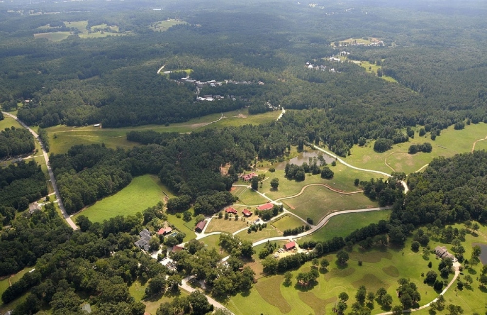 Dragica ostala bez posla, pa počela da gaji OVO VOĆE: Sad zarađuje i po šest evra za kilo!