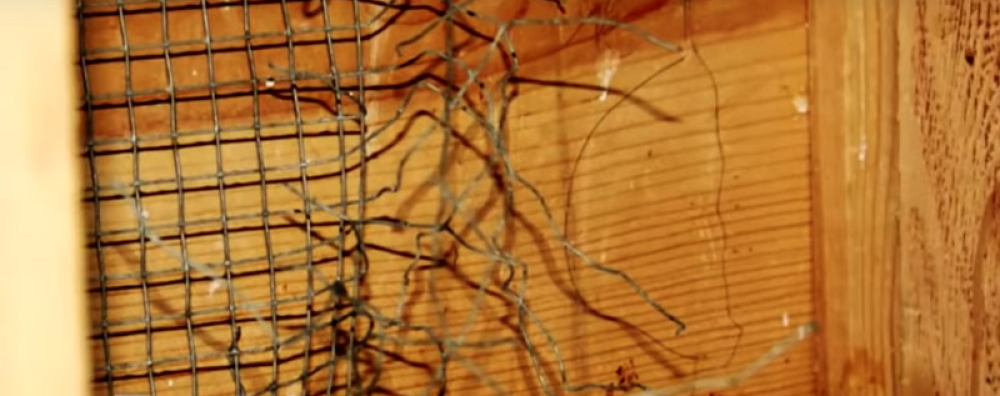 Došao je na razgovor za posao u kući sa 11 dece, a zatekao je užasan prizor