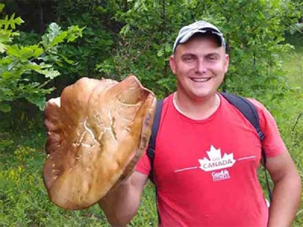 Dalibor ubrao pečurku za Ginisa!