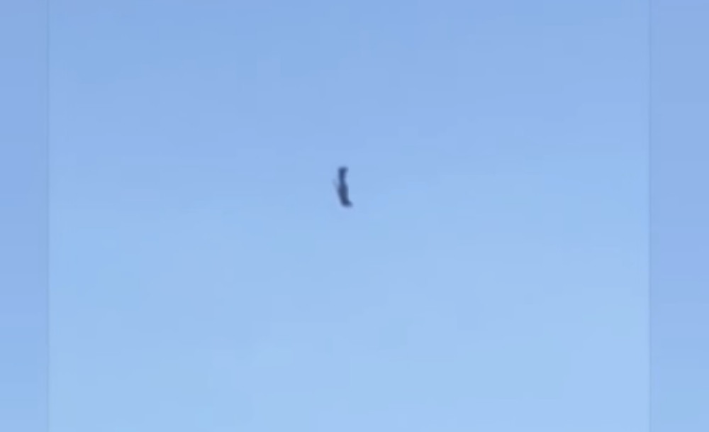 Pilot poginuo nakon što mu se u letu raspao avion!