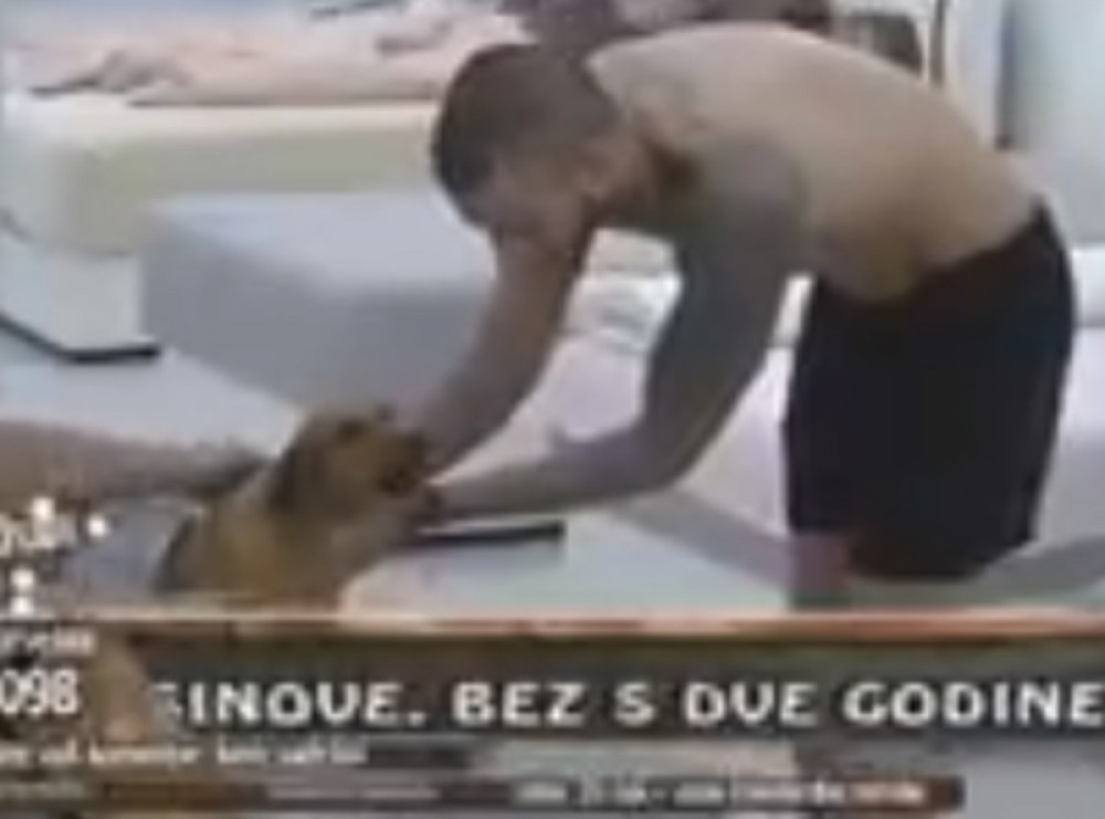 Zadrugar udarao psa po glavi, cimeri oštro osudili njegovo sramno ponašanje!