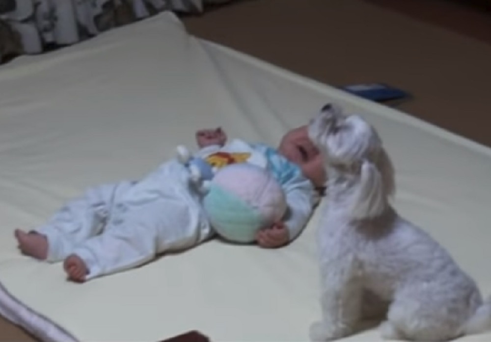 Sve više dece se rađa bez ruku, vlasti su pokrenule istragu, pretražuje se sve, od hrane do vazduha!