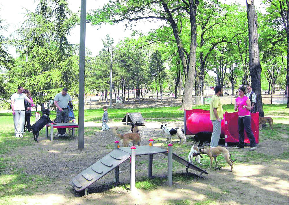 Ako šetate svog ljubimca i ne uradite OVO, platićete ogromnu kaznu!