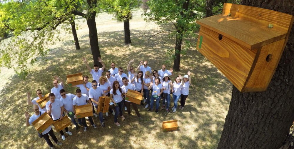 Vrapčije kućice sa tri stana