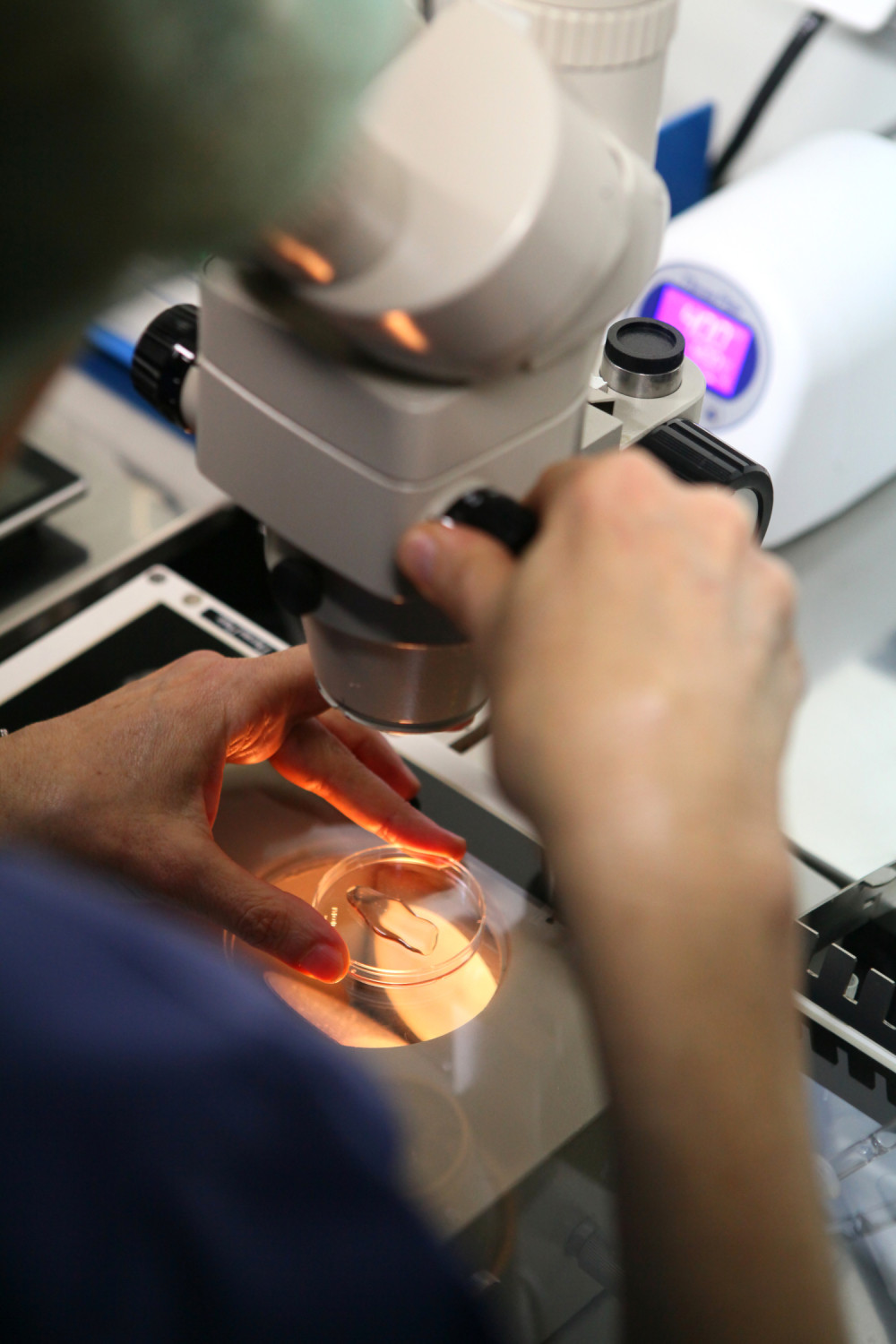 Ovako izgleda BITKA za novi život