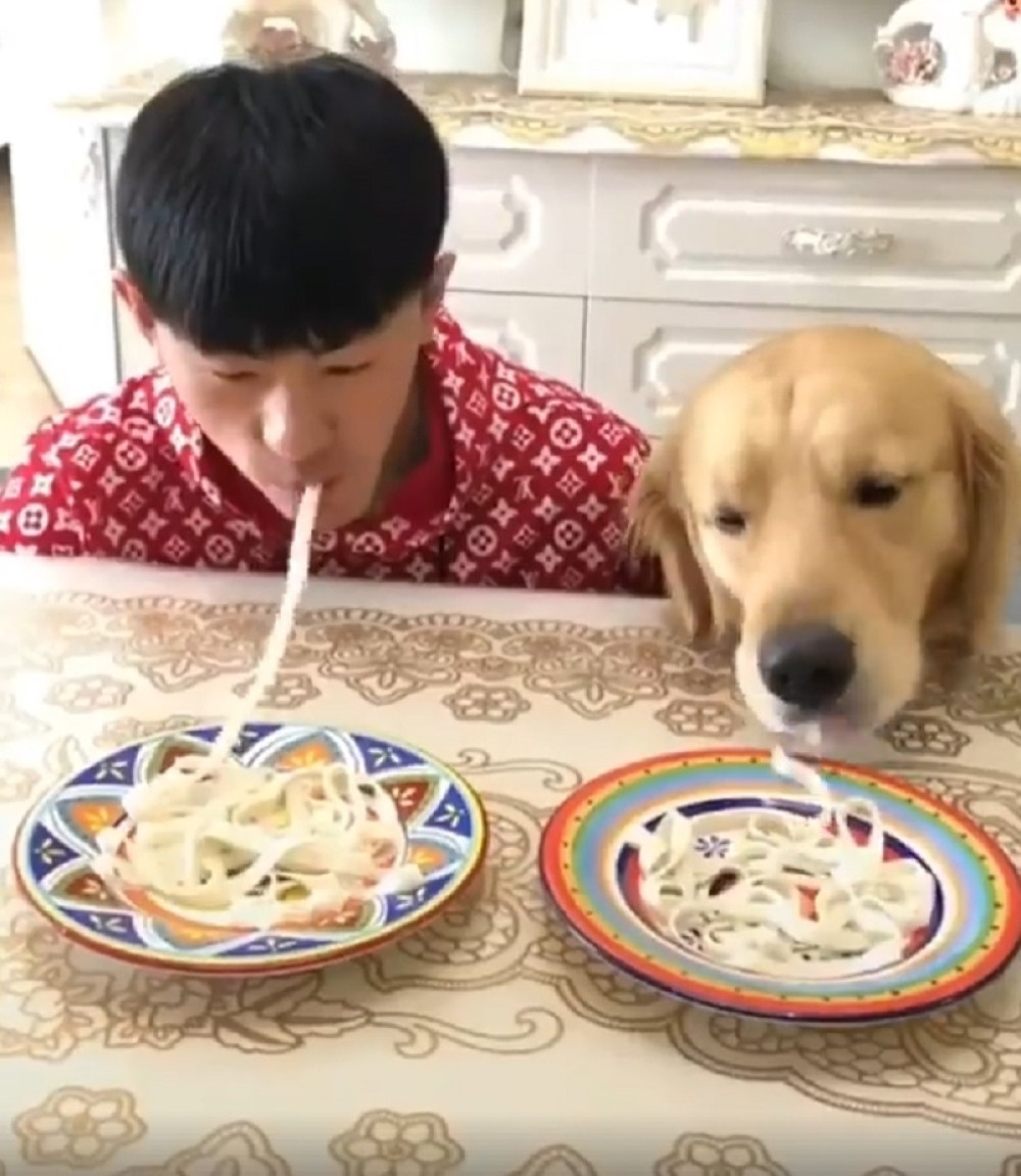 Ovaj snimak će vam ULEPŠATI VEČE! (VIDEO)