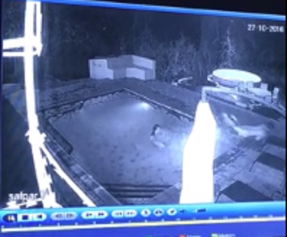 Otišli su sami na noćno kupanje, a onda su ugledali OVO u bazenu!