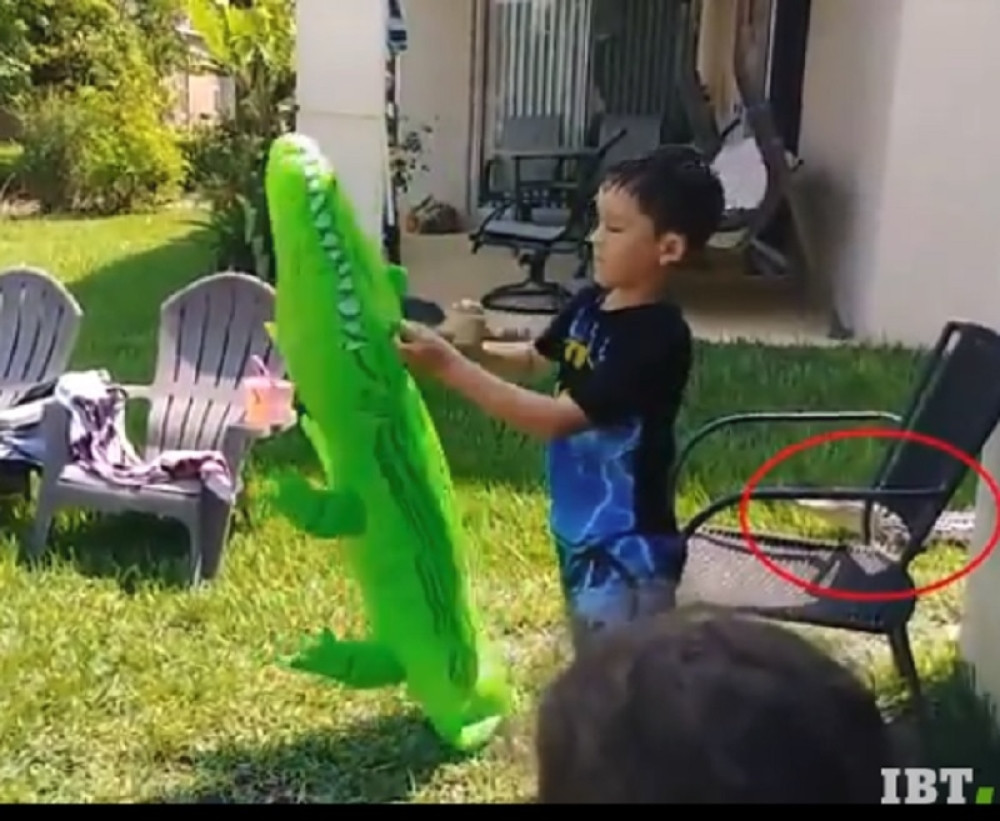 Dečak se igrao u dvorištu, a onda se iza njega pojavila OPASNA ŽIVOTINJA!