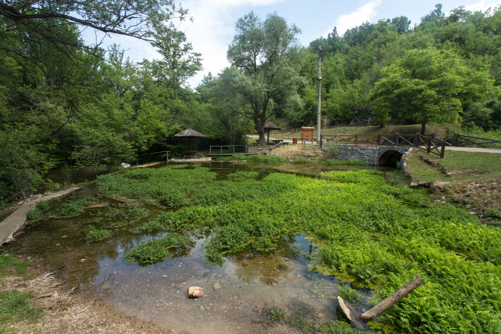 Ovo je mesto koje podmlađuje! (FOTO)