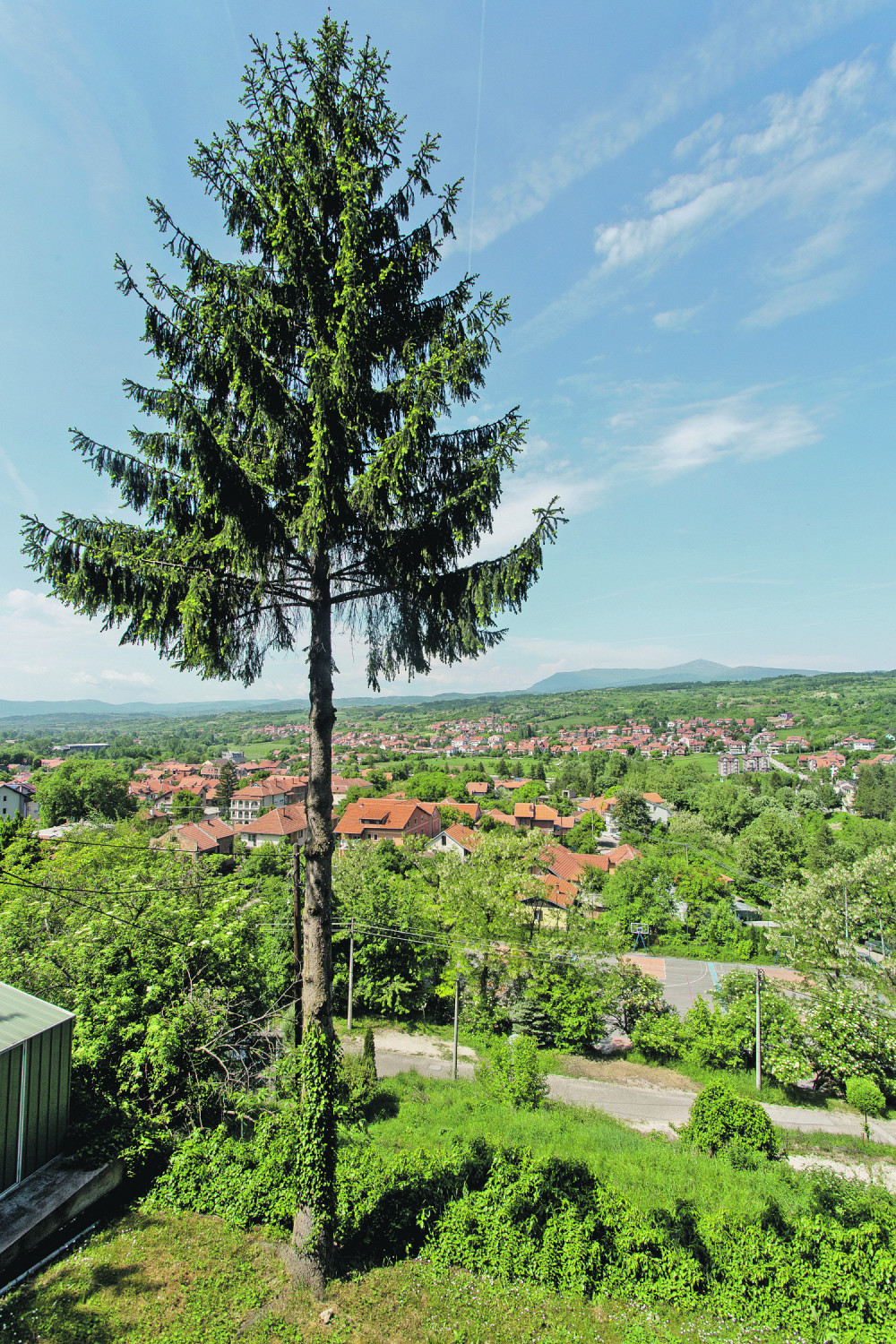 Ovo mesto u Srbiji NUŠIĆ je obožavao, a KNEZ MILOŠ kroz PROZOR u kupatilu MERKAO CICE!