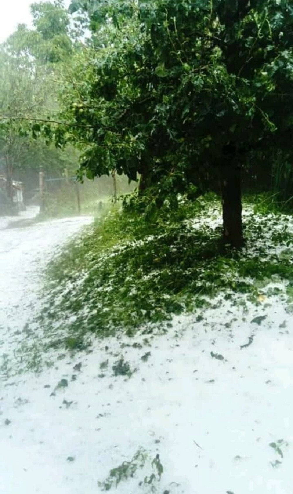 Jako nevreme POTOPILO Loznicu, usevi UNIŠTENI