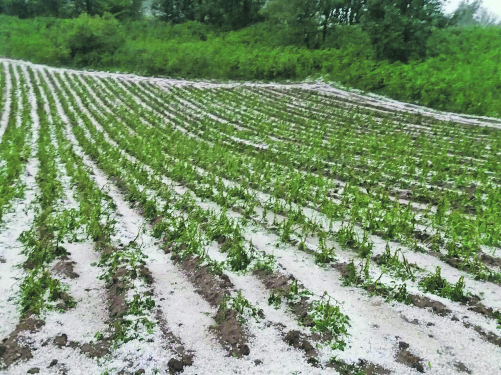 Jučerašnja oluja je UBILA DVOJE LJUDI, vanredno širom Srbije!