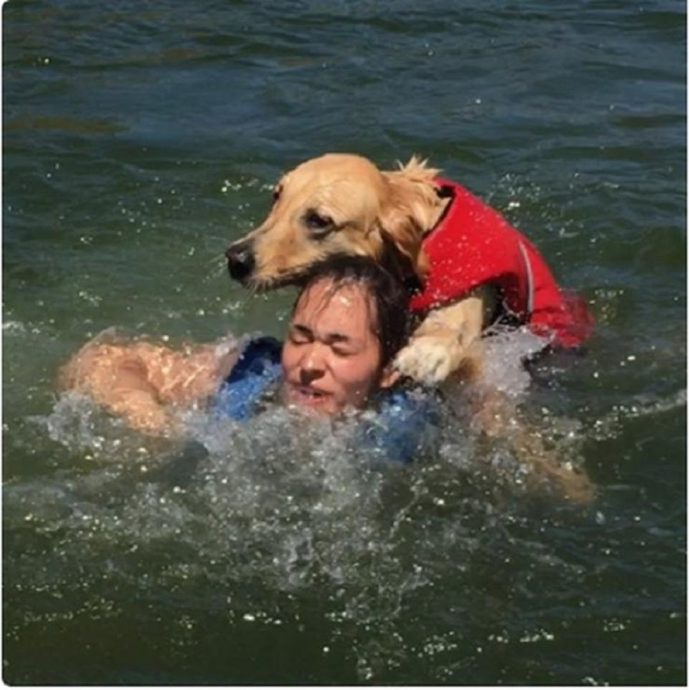 Devojka je plivala u bazenu, kada je došao njen PAS nastao je PRAVI HAOS