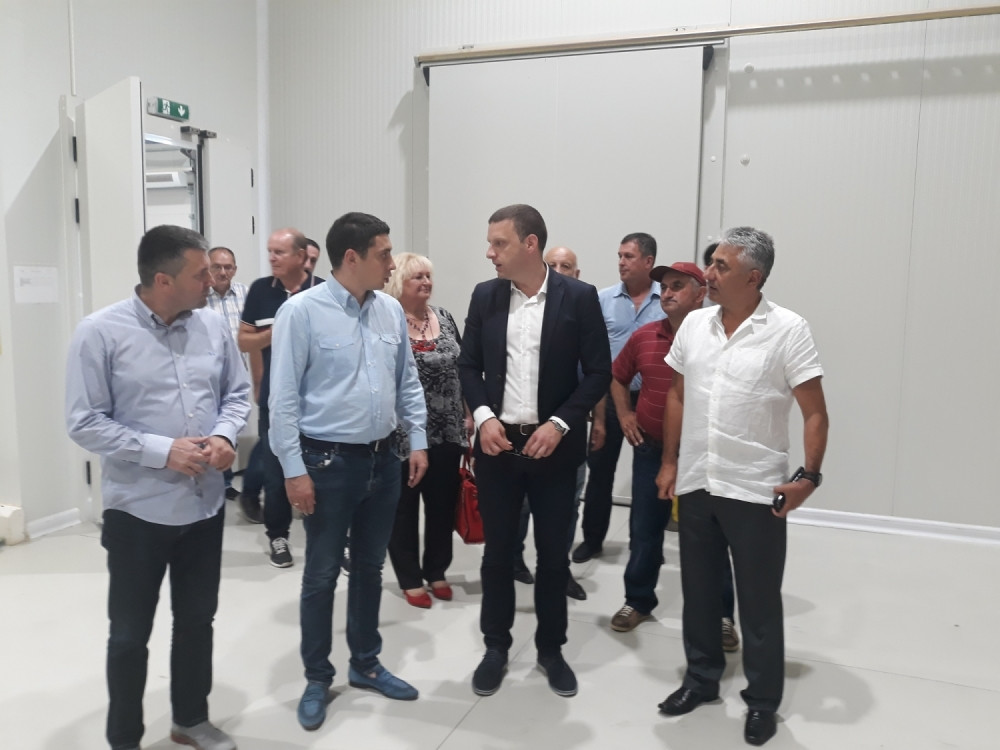 Podsticaj grada i opštine voćarskoj proizvodnji