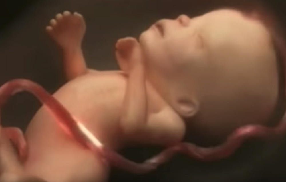 Ovo je NAJBOLJI VIDEO na internetu, ljudi širom sveta OČARANI!